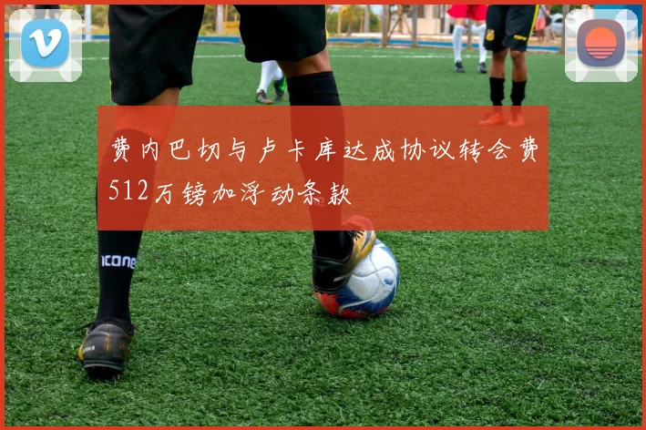 费内巴切与卢卡库达成协议转会费512万镑加浮动条款